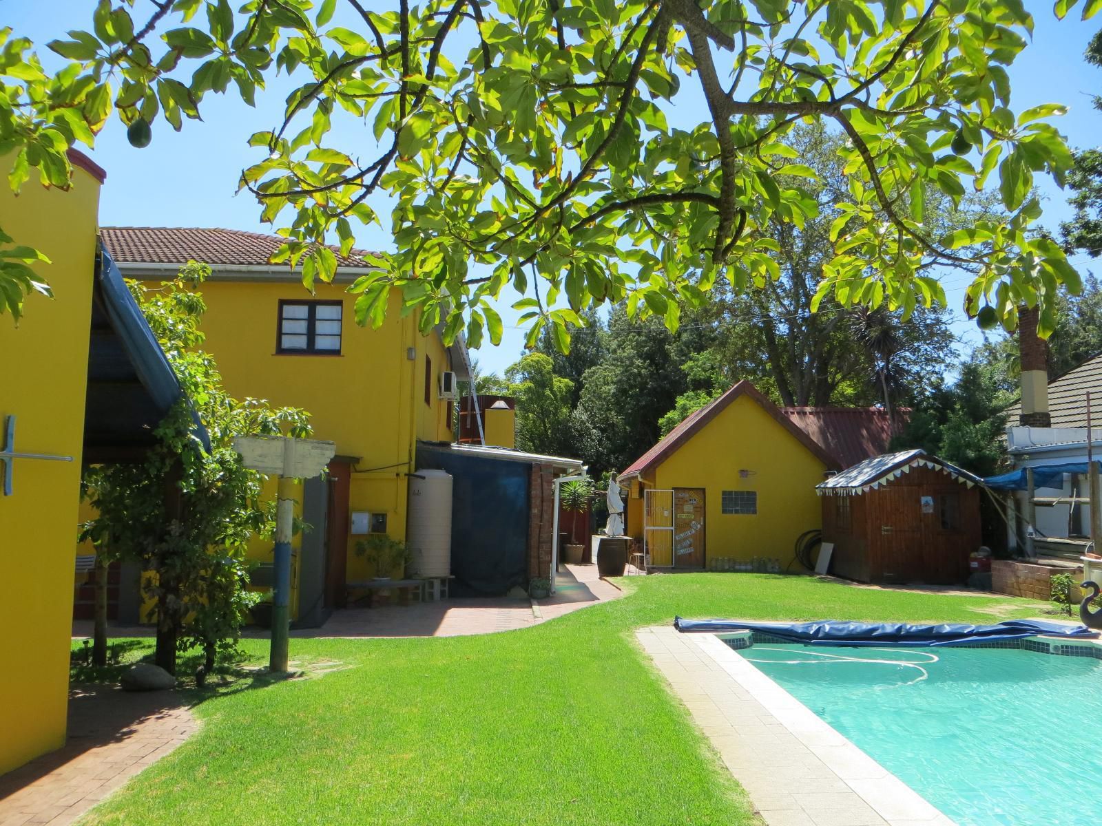 Lourens River Guesthouse, House, Building, Architecture, Palm Tree, Plant, Nature, Wood, Garden, Swimming Pool