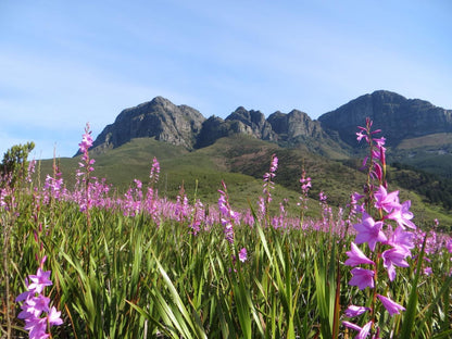 Lourens River Guesthouse, Mountain, Nature, Plant, Highland