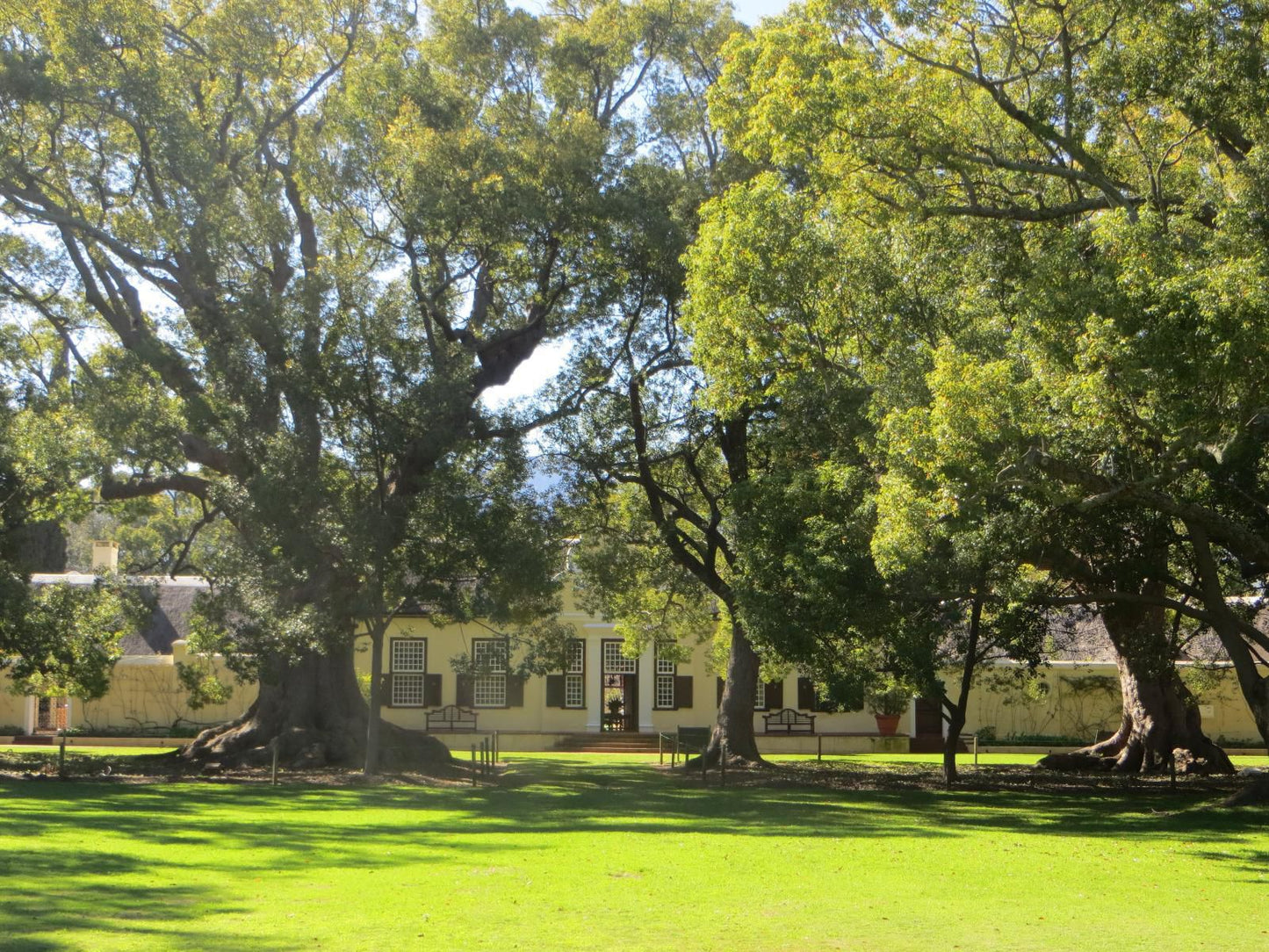 Lourens River Guesthouse, Plant, Nature, Tree, Wood