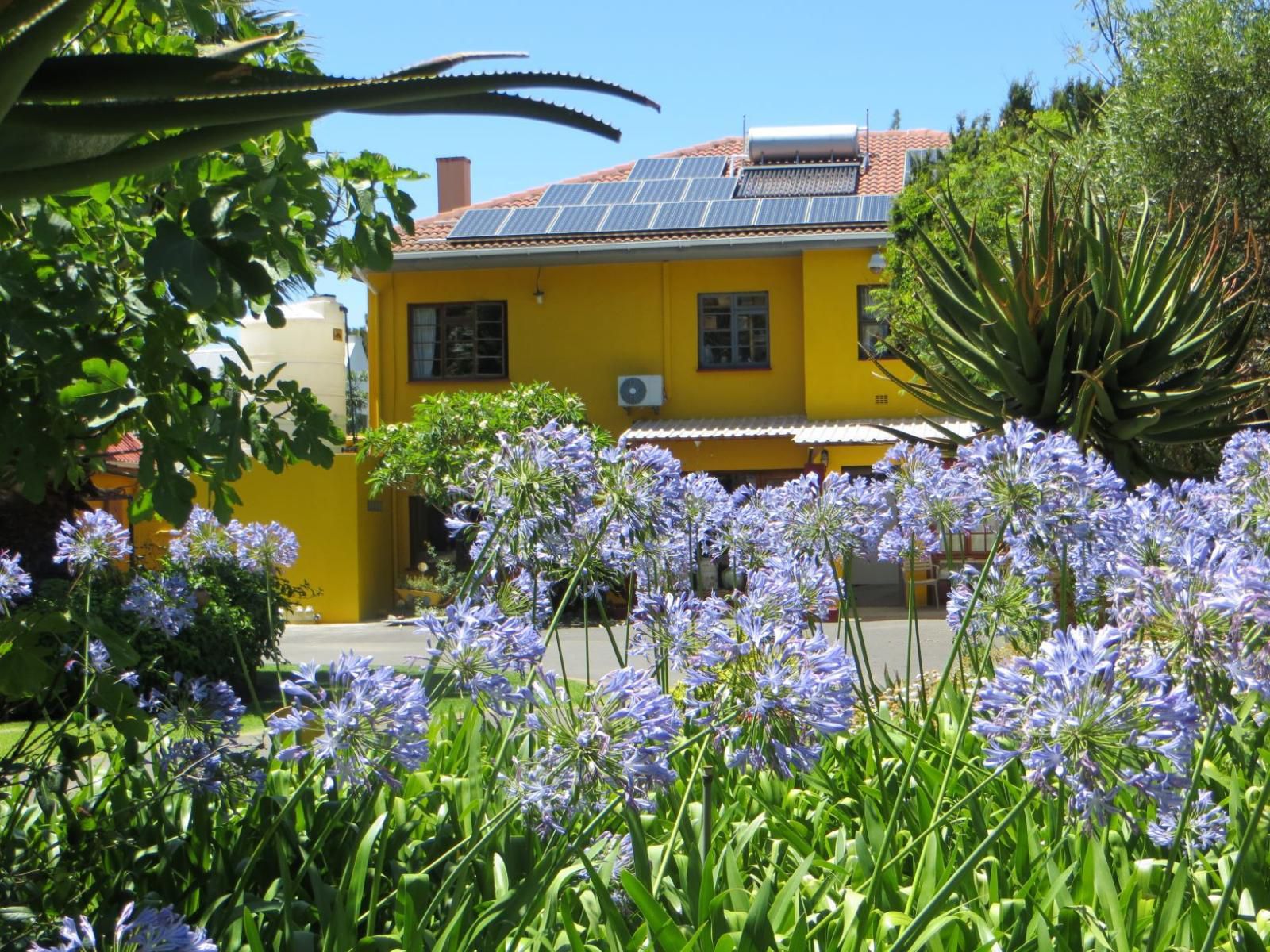 Lourens River Guesthouse, House, Building, Architecture, Plant, Nature, Garden