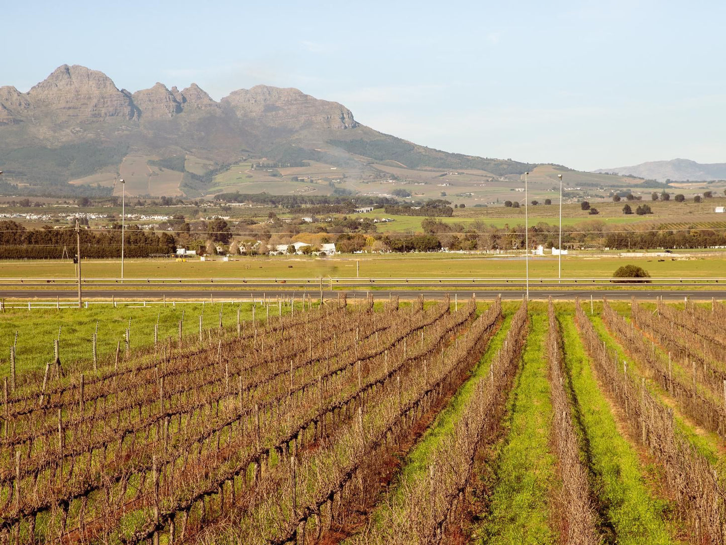 Lovane Boutique Wine Estate And Guest House Stellenbosch Western Cape South Africa Field, Nature, Agriculture