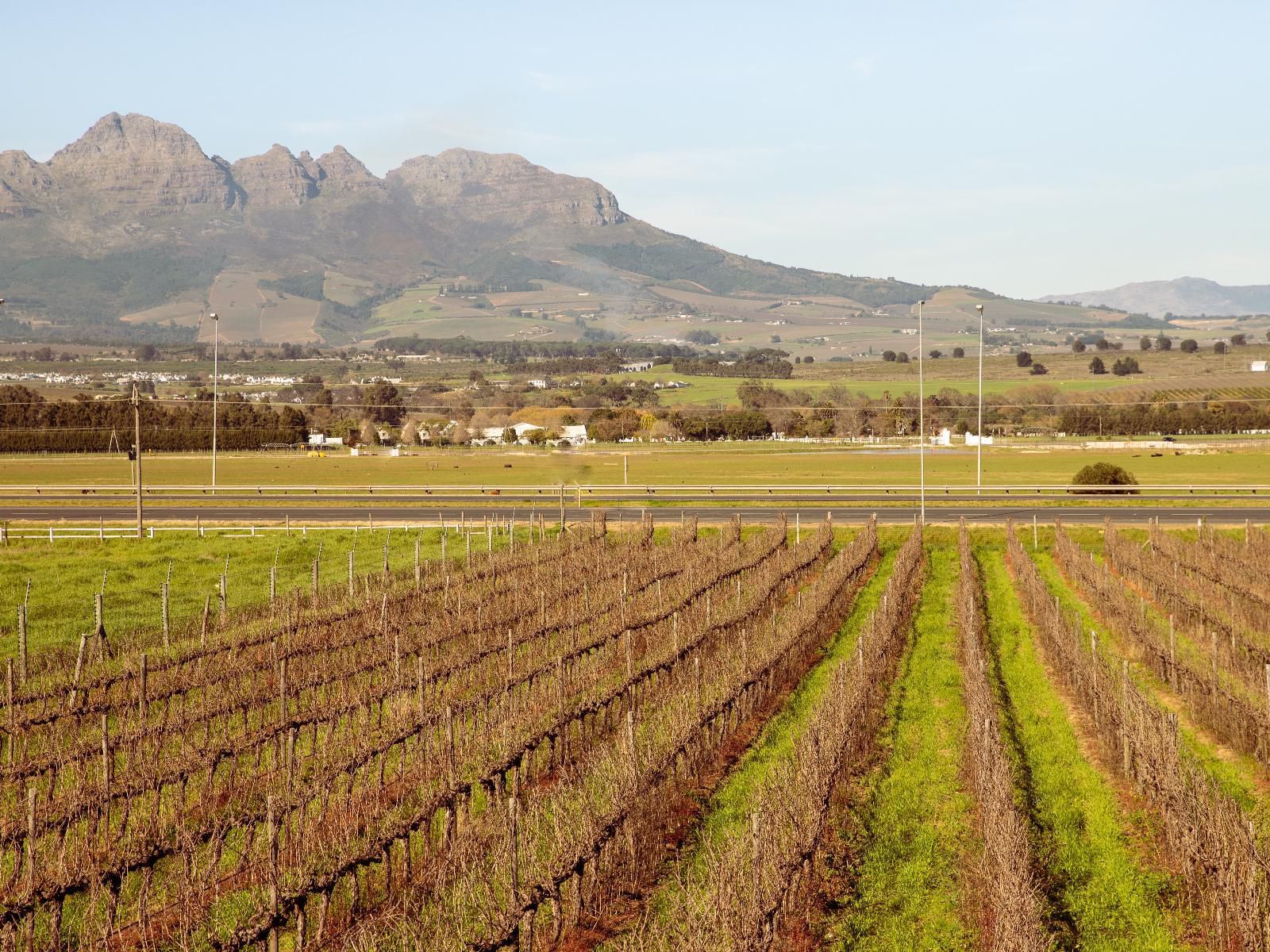 Lovane Boutique Wine Estate And Guest House Stellenbosch Western Cape South Africa Field, Nature, Agriculture