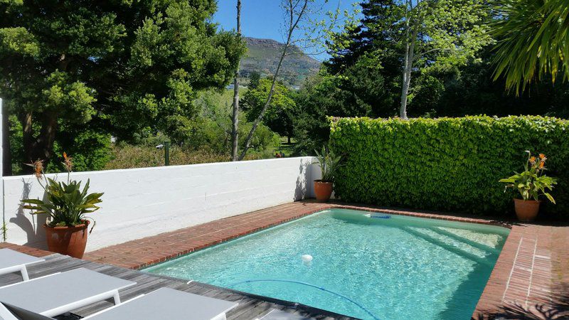 Lovely 4 Bedroom With Pool Witteboomen Cape Town Western Cape South Africa Garden, Nature, Plant, Swimming Pool