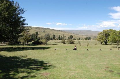 Lowestoffe Country Lodge Woodhouselea Hogsback Eastern Cape South Africa Complementary Colors, Tree, Plant, Nature, Wood, Lowland