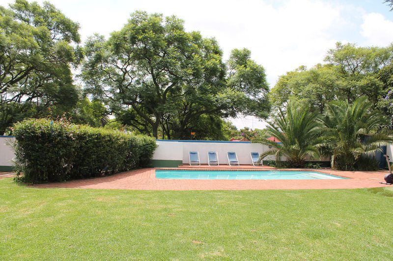Lubamba Lodge Observatory Jhb Johannesburg Gauteng South Africa Palm Tree, Plant, Nature, Wood, Garden, Swimming Pool