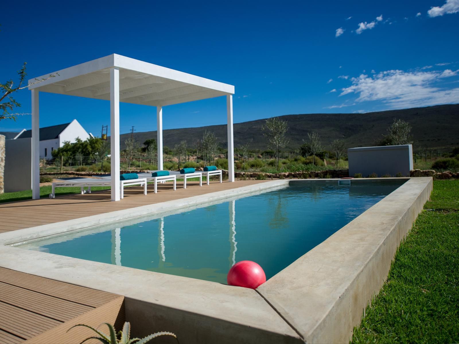 Lucky Crane Villas Mcgregor Western Cape South Africa Swimming Pool
