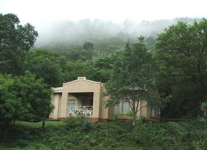 Luilekker Guest House And Chalets Waterval Boven Mpumalanga South Africa Tree, Plant, Nature, Wood