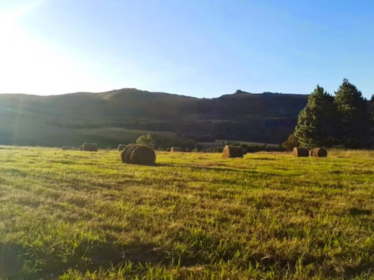 Luiperdkloof Trout Lodge Utrecht Kwazulu Natal South Africa Complementary Colors, Field, Nature, Agriculture, Highland