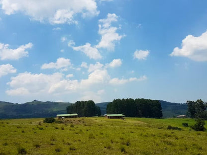 Luiperdkloof Trout Lodge Utrecht Kwazulu Natal South Africa Complementary Colors, Field, Nature, Agriculture