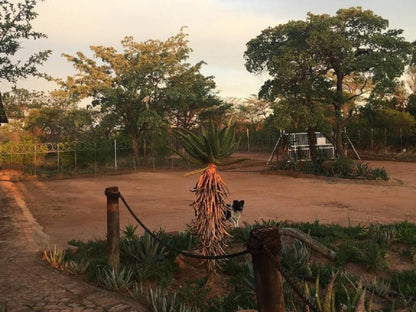 Luiperdloop Lodge Melkrivier Limpopo Province South Africa Sepia Tones, Palm Tree, Plant, Nature, Wood