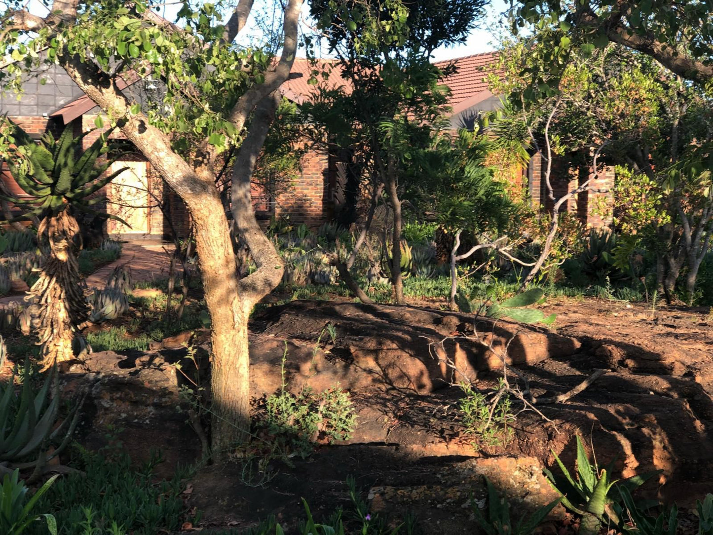 Luiperdloop Lodge Melkrivier Limpopo Province South Africa Tree, Plant, Nature, Wood