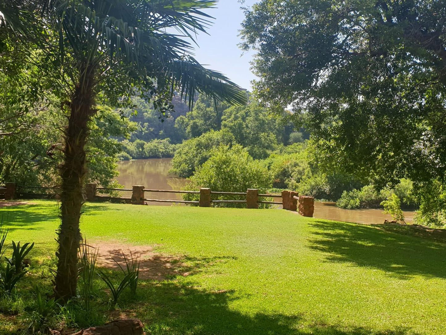 Markon River Lodge Bronkhorstspruit Gauteng South Africa Palm Tree, Plant, Nature, Wood, Garden