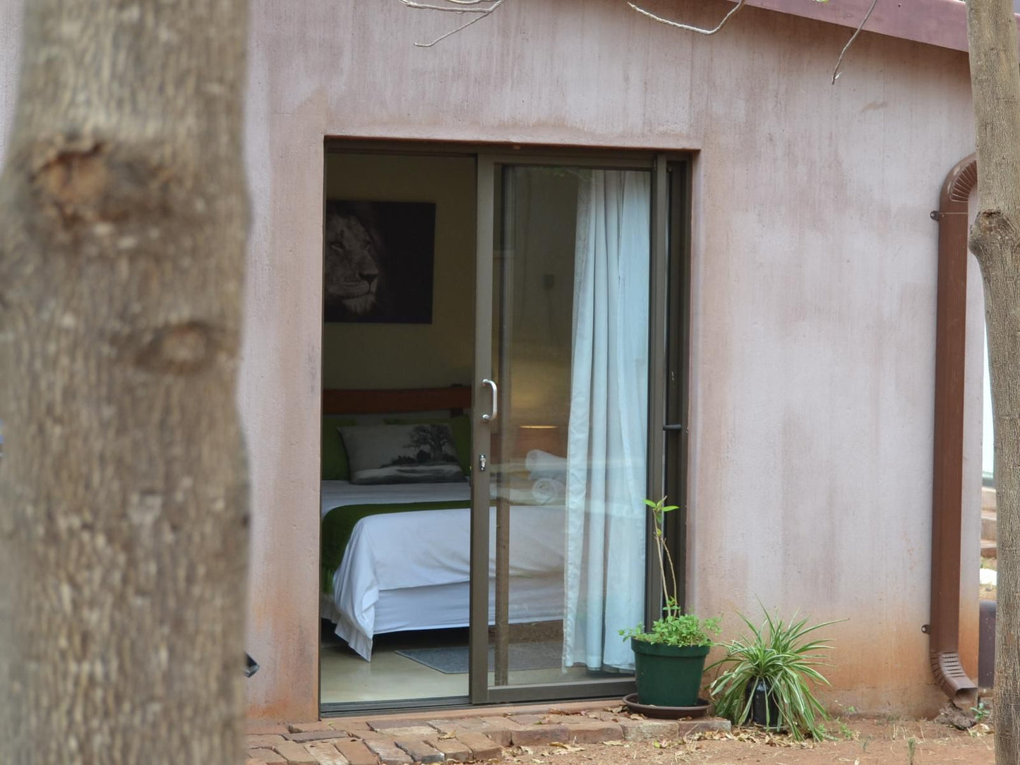 Lulani Bush Retreat Hoedspruit Limpopo Province South Africa Bedroom