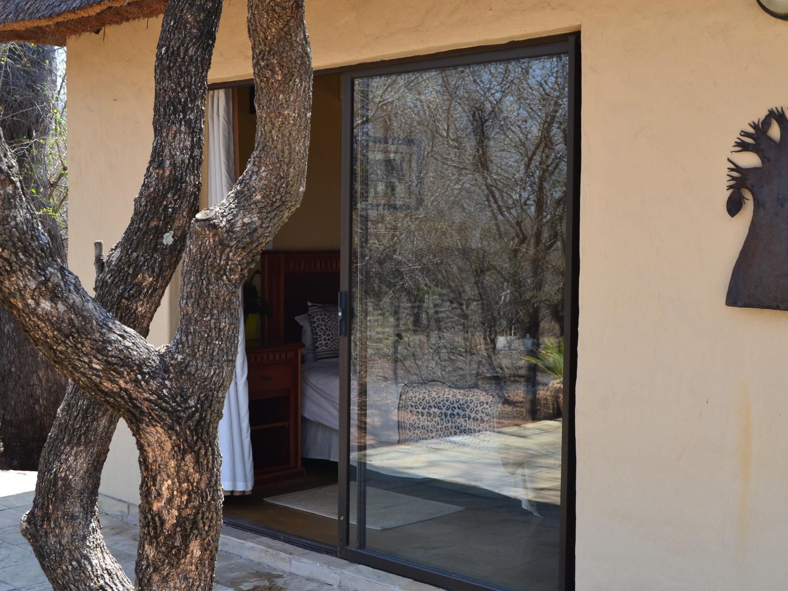 Lulani Bush Retreat Hoedspruit Limpopo Province South Africa Framing