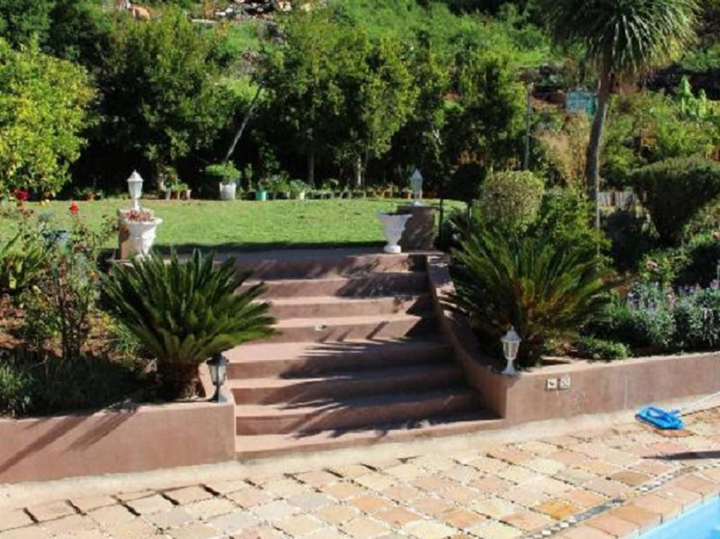 Lumley S Place Guesthouse Pniel Western Cape South Africa Palm Tree, Plant, Nature, Wood, Stairs, Architecture, Garden