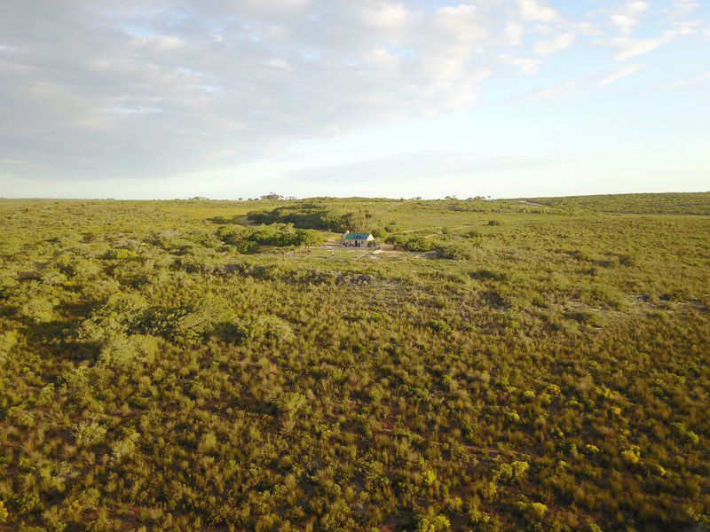 Lunsklip Farm Lekker Johnnie Outpost Stilbaai Western Cape South Africa Lowland, Nature