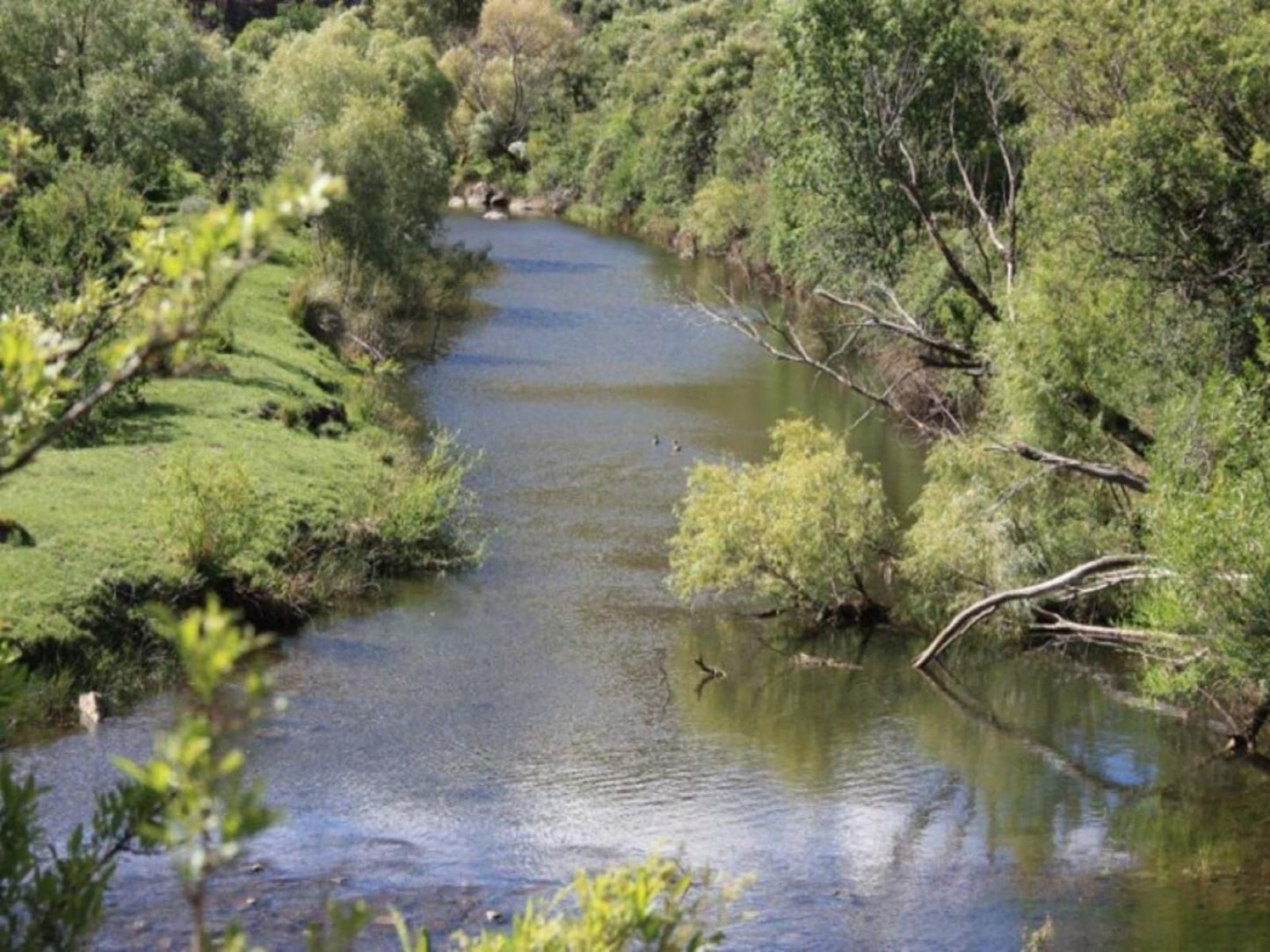 Lupela Lodge, River, Nature, Waters, Tree, Plant, Wood