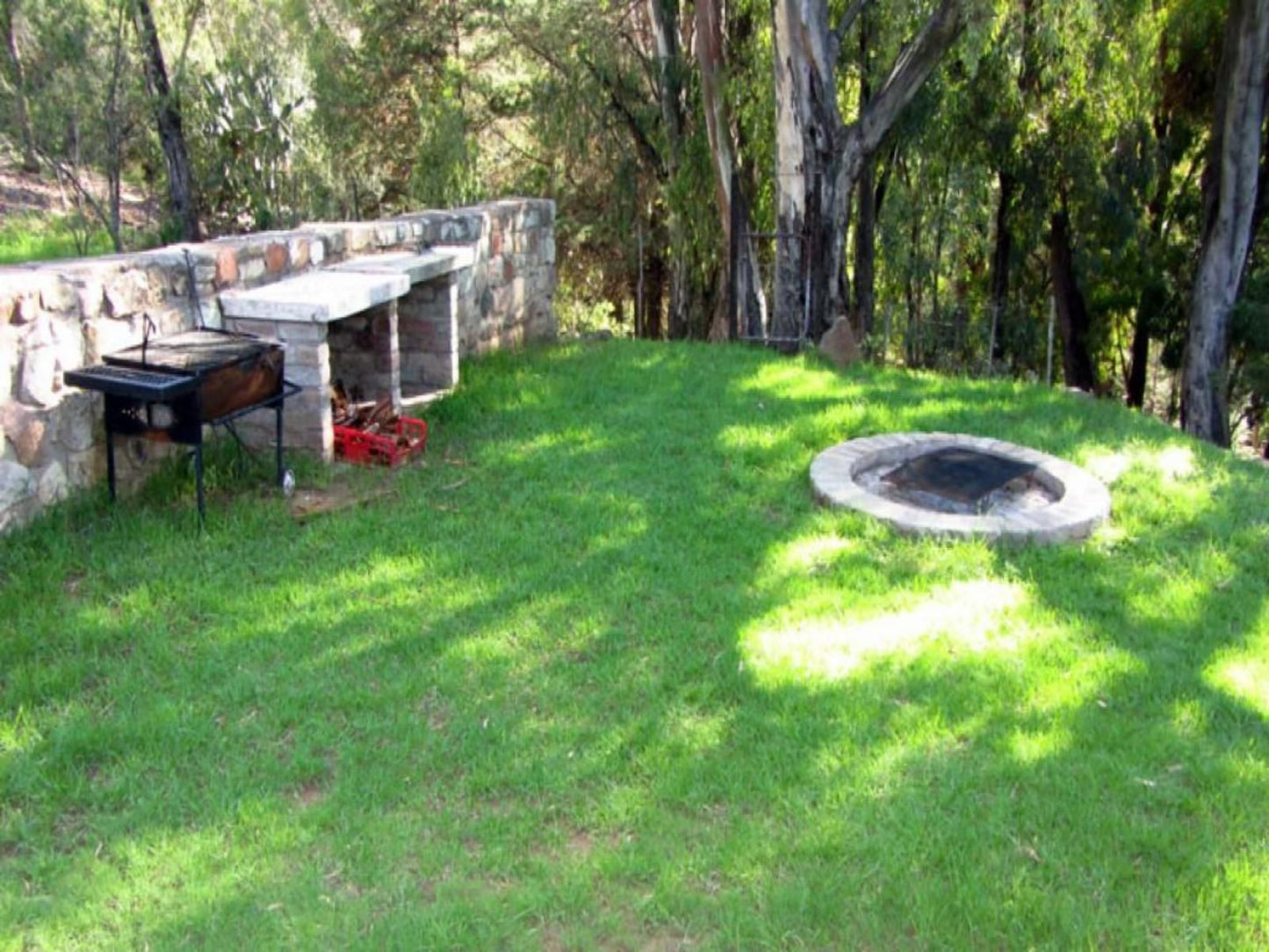 Lupela Lodge, Tree, Plant, Nature, Wood