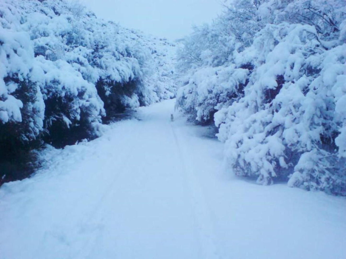 Lupela Lodge, Colorful, Nature, Snow, Winter, Winter Landscape