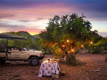 Lush Private Game Lodge Pilanesberg Game Reserve North West Province South Africa 