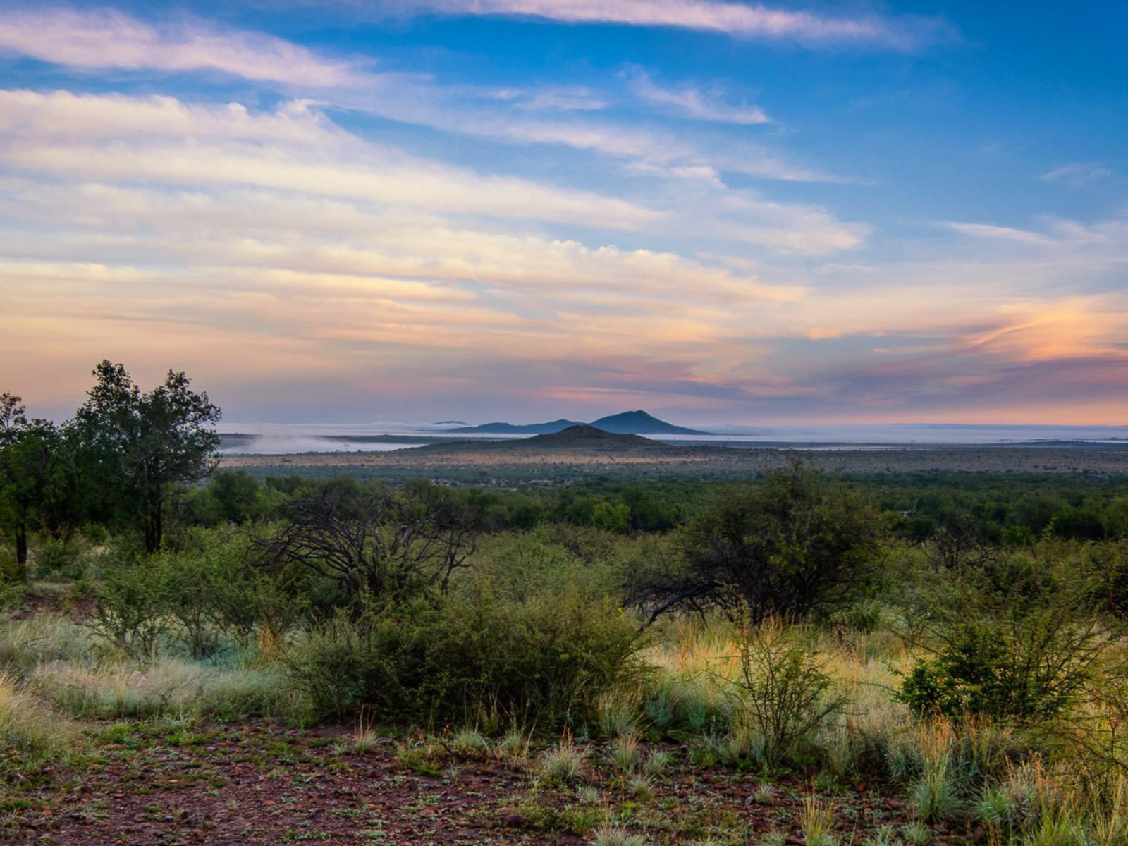 Lush Private Game Lodge Pilanesberg Game Reserve North West Province South Africa Complementary Colors, Lowland, Nature