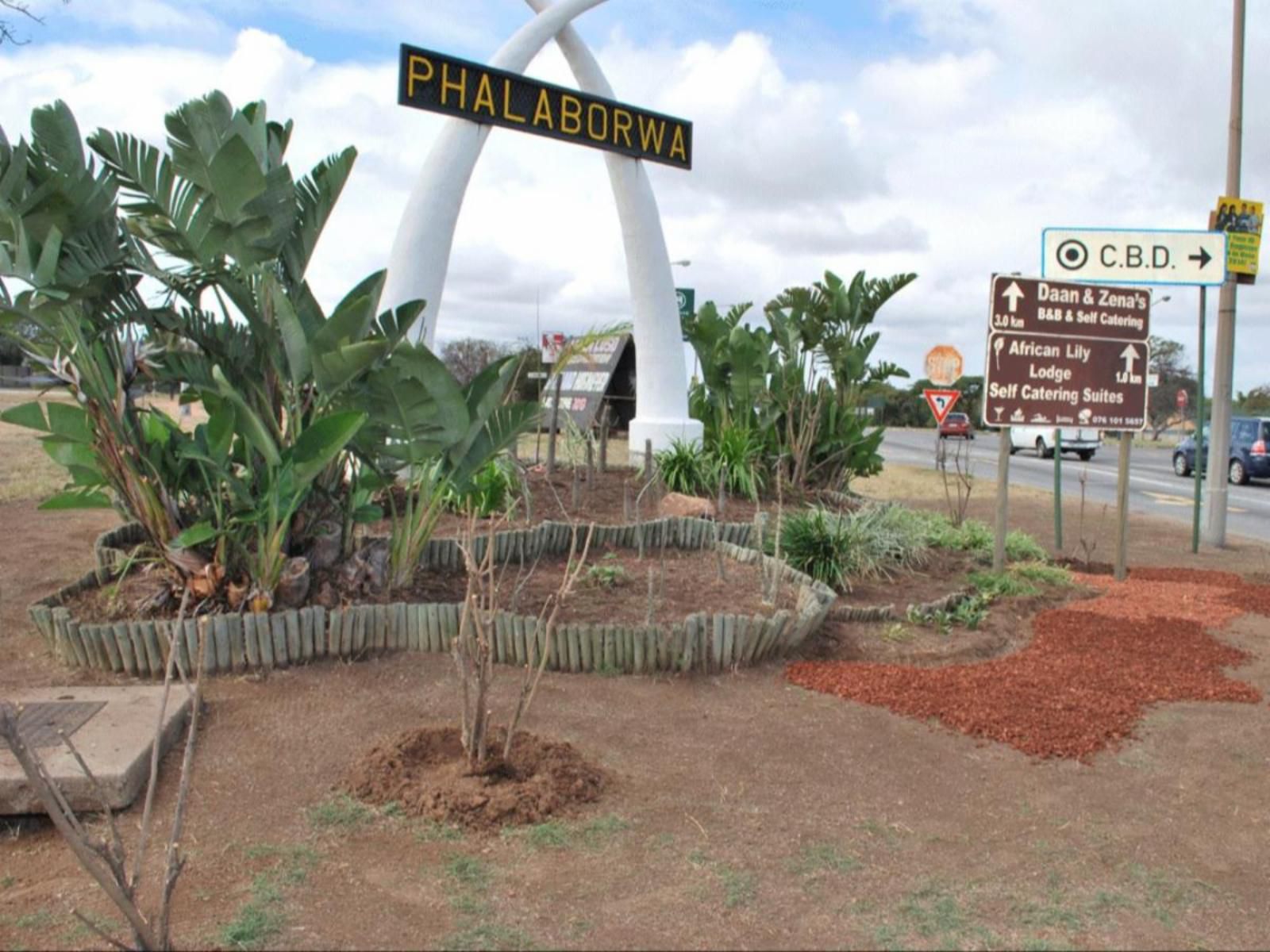 Luso Country Lodge Phalaborwa Limpopo Province South Africa Palm Tree, Plant, Nature, Wood, Sign