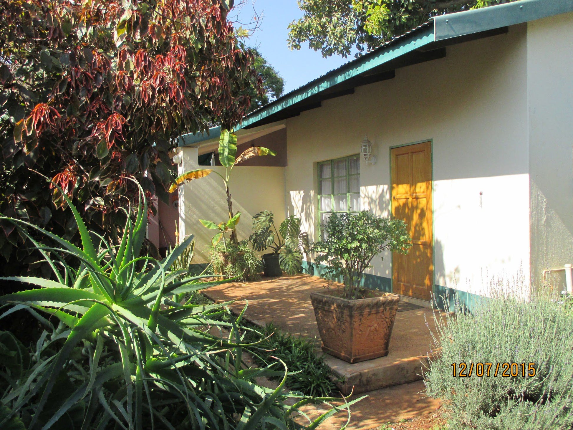 Lutea Guest House Mokopane Potgietersrus Limpopo Province South Africa House, Building, Architecture, Palm Tree, Plant, Nature, Wood