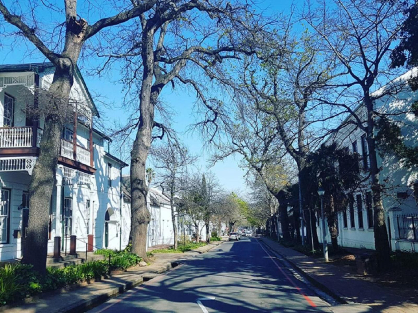 Lux Andringa Walk Apartments Stellenbosch Western Cape South Africa House, Building, Architecture, Window, Street