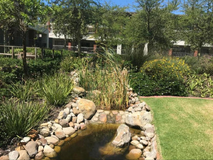 Luxury 2 Bedroom Apartment In Century City Century City Cape Town Western Cape South Africa Plant, Nature, Garden