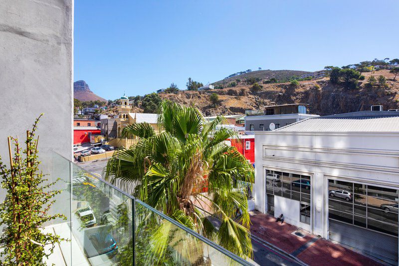 Luxury De Waterkant Loft Retreat De Waterkant Cape Town Western Cape South Africa Complementary Colors, Palm Tree, Plant, Nature, Wood