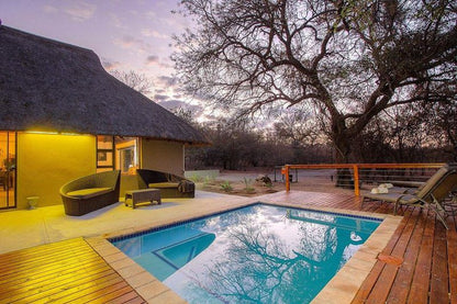 Luxury Guesthouse Co Butterflyhouse Marloth Park Mpumalanga South Africa Swimming Pool