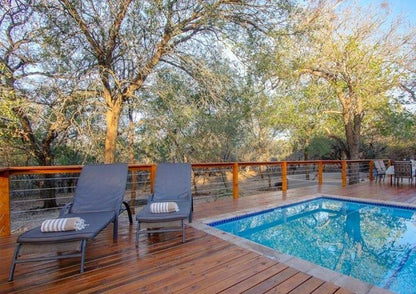 Luxury Guesthouse Co Butterflyhouse Marloth Park Mpumalanga South Africa Swimming Pool