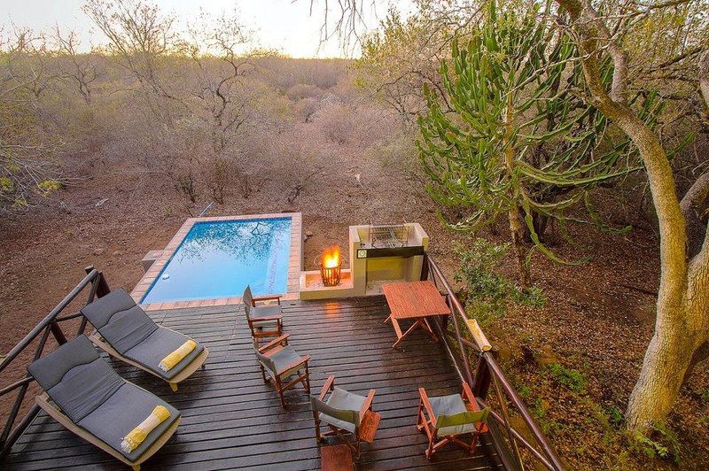 Luxury Guesthouse Co Honeymoonhouse Marloth Park Mpumalanga South Africa Swimming Pool