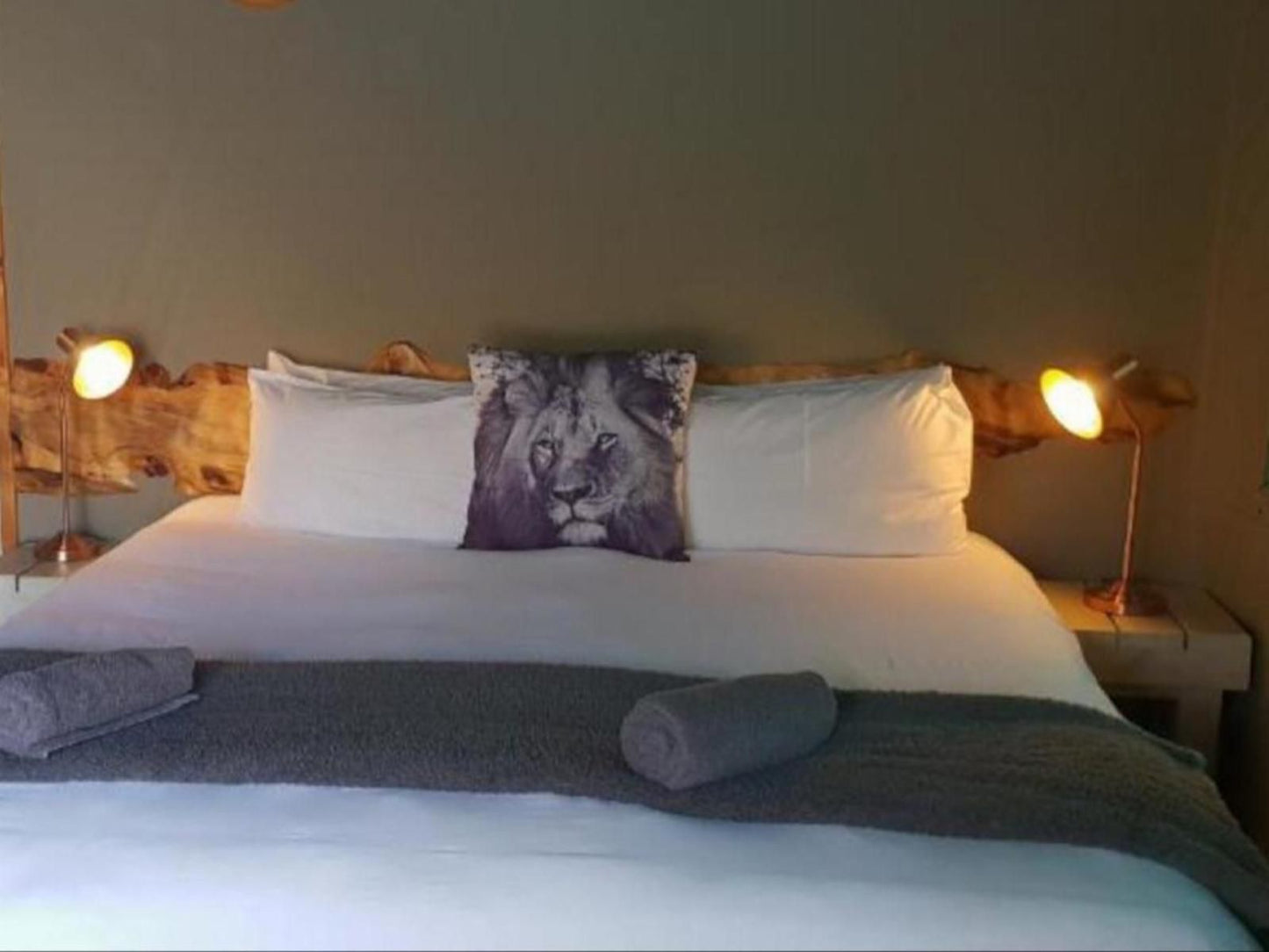 Luxury Tents @ Urban Glamping, Luxury Tent, Lion, Mammal, Animal, Big Cat, Predator, Bedroom