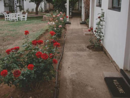 Lydenburg Manor Guest House, House, Building, Architecture, Plant, Nature, Rose, Flower, Garden