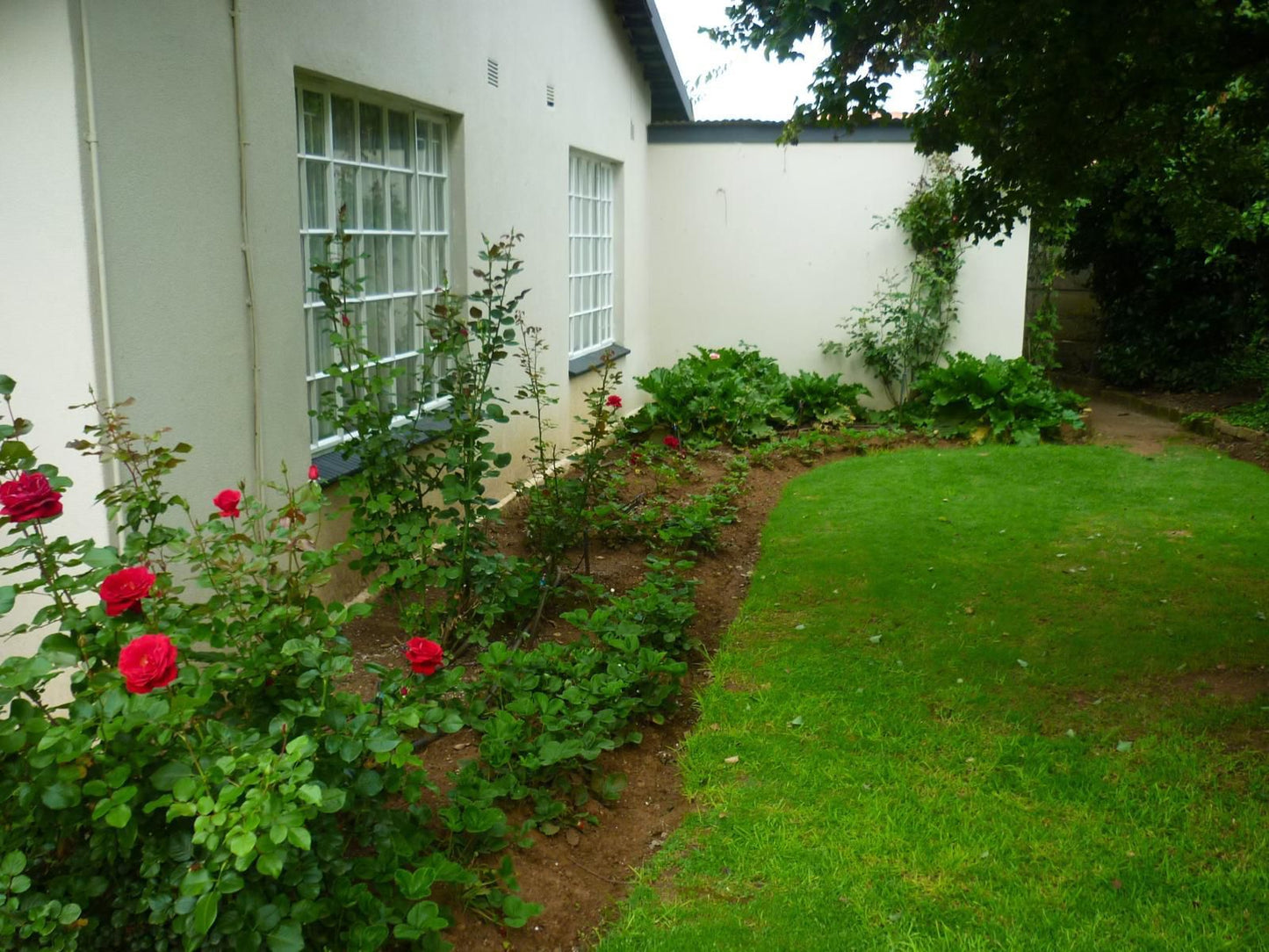 Lydenburg Manor Guest House, House, Building, Architecture, Plant, Nature, Rose, Flower, Garden