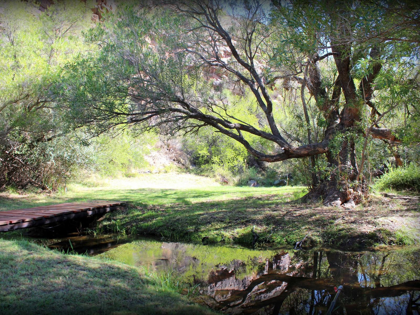 Lylius Cottage Clanwilliam Western Cape South Africa Forest, Nature, Plant, Tree, Wood, River, Waters