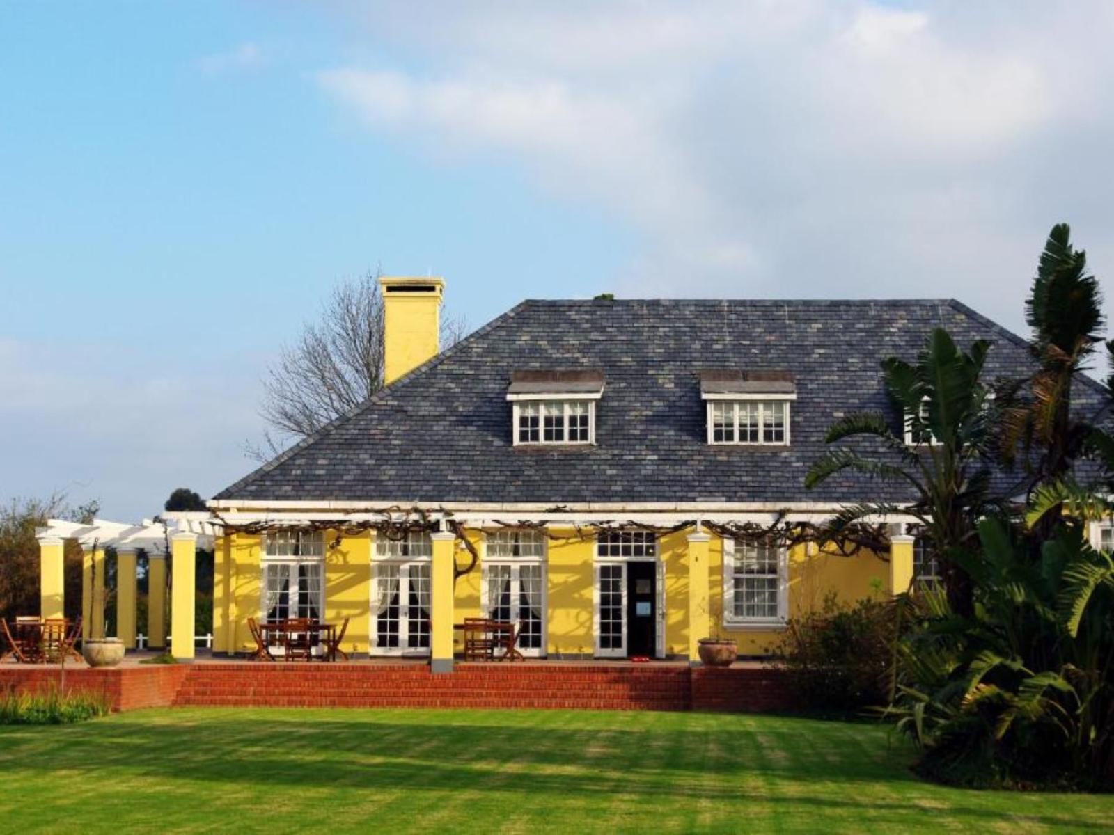 Lyngrove Wines And Guest House Somerset West Western Cape South Africa Complementary Colors, Building, Architecture, House