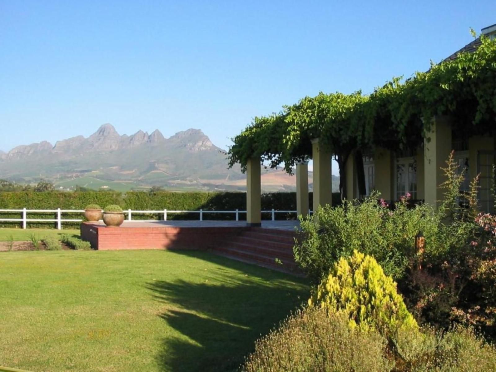 Lyngrove Wines And Guest House Somerset West Western Cape South Africa Complementary Colors, Mountain, Nature