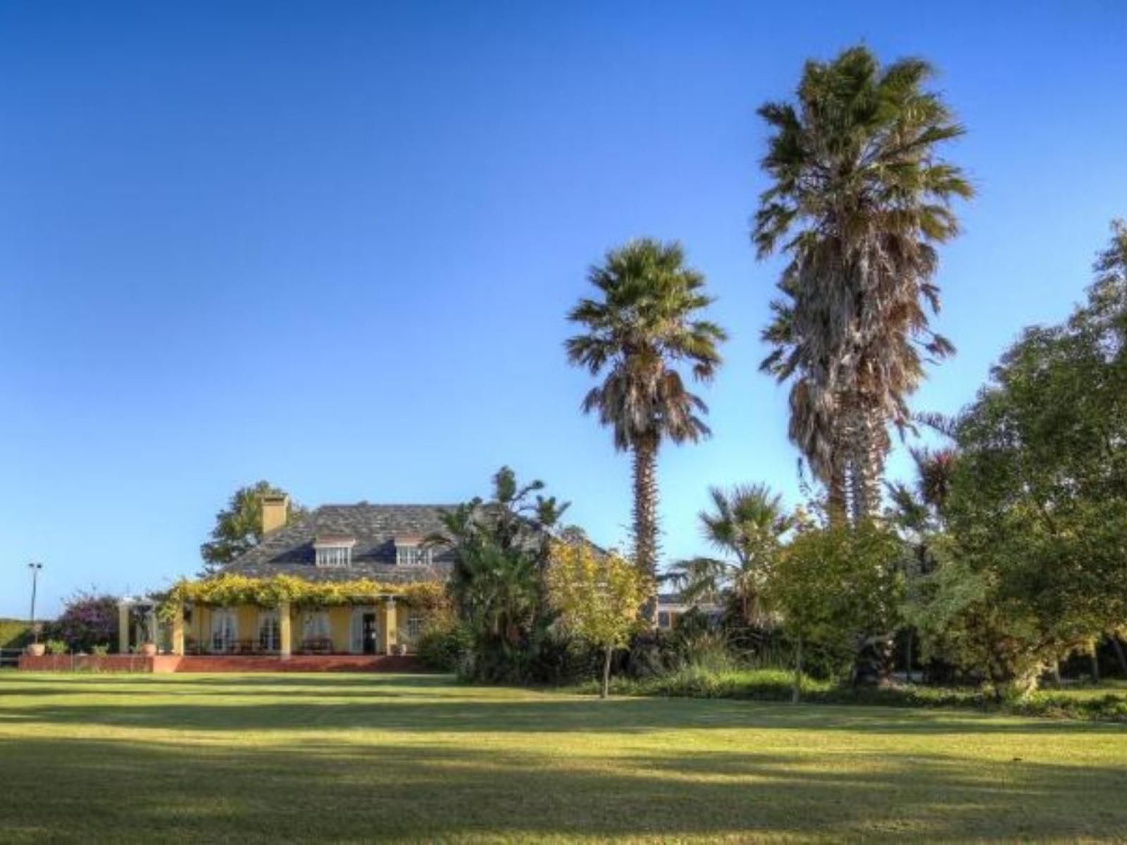 Lyngrove Wines And Guest House Somerset West Western Cape South Africa Complementary Colors, House, Building, Architecture, Palm Tree, Plant, Nature, Wood