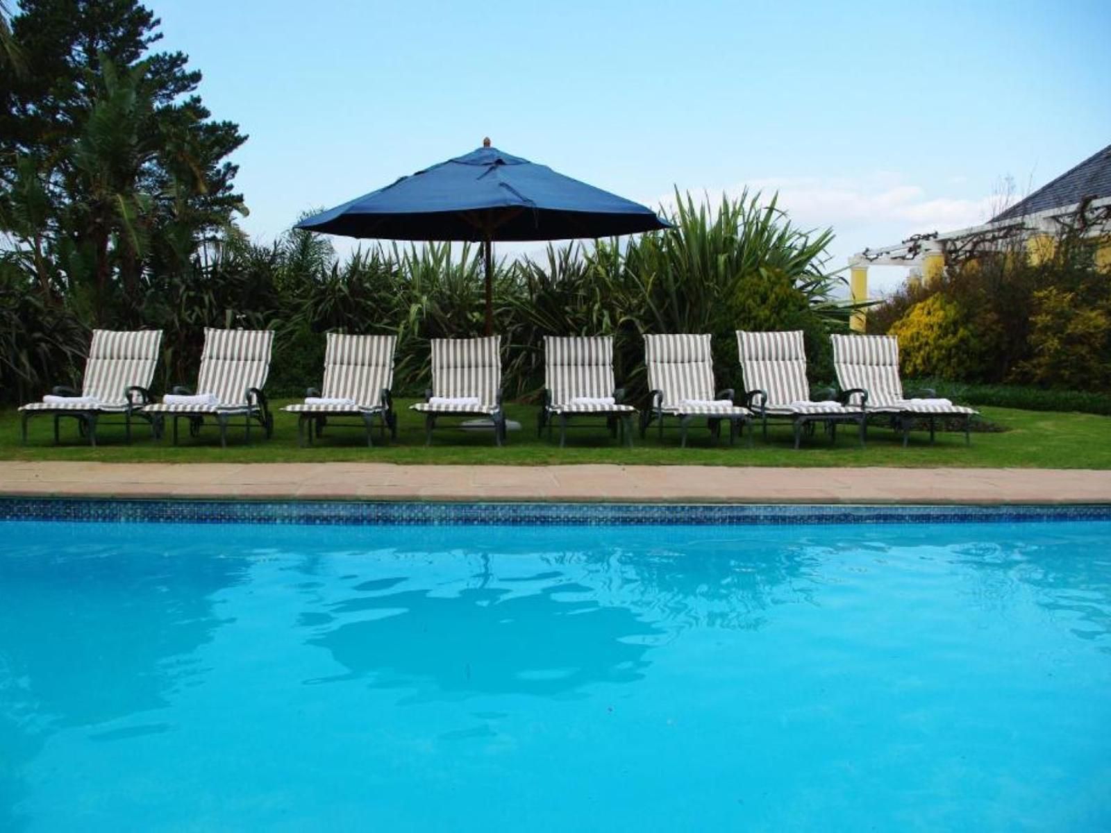 Lyngrove Wines And Guest House Somerset West Western Cape South Africa Swimming Pool