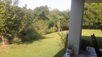 Lyn S Place Dunkirk Estate Ballito Kwazulu Natal South Africa Palm Tree, Plant, Nature, Wood, Garden