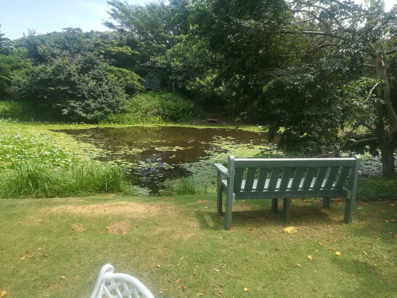 Lyn S Place Dunkirk Estate Ballito Kwazulu Natal South Africa River, Nature, Waters, Tree, Plant, Wood, Garden