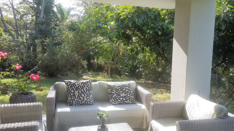 Lyn S Place Dunkirk Estate Ballito Kwazulu Natal South Africa Palm Tree, Plant, Nature, Wood, Garden, Living Room