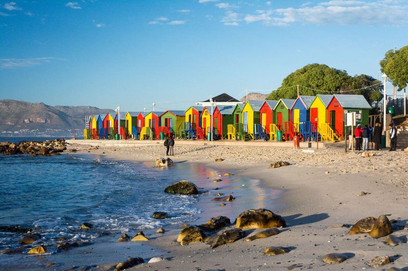 Lynx Vista Lakeside Cape Town Western Cape South Africa Complementary Colors, Beach, Nature, Sand