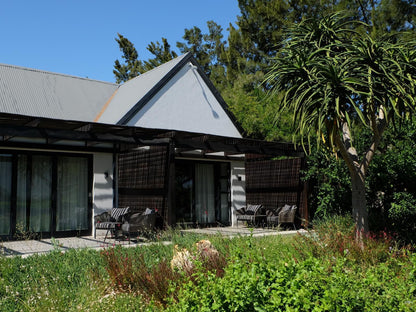 Lynx Wine Estate Wemmershoek Western Cape South Africa Building, Architecture, House