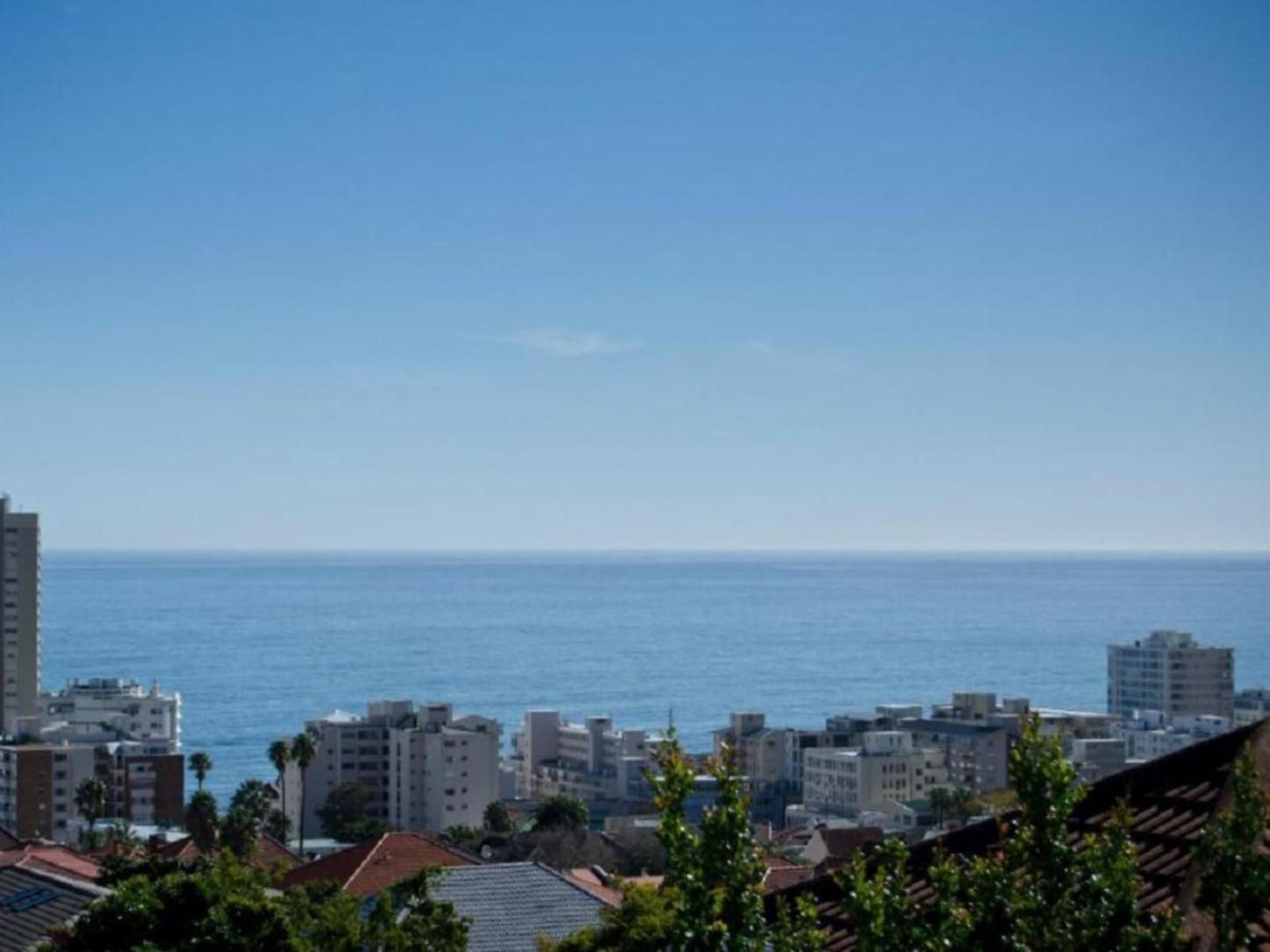 Maartens Guesthouse Fresnaye Cape Town Western Cape South Africa Beach, Nature, Sand, Palm Tree, Plant, Wood