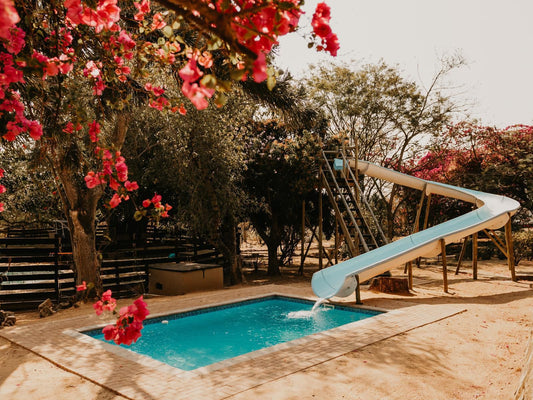 Mabalel Lodge Karino Mpumalanga South Africa Garden, Nature, Plant, Swimming Pool