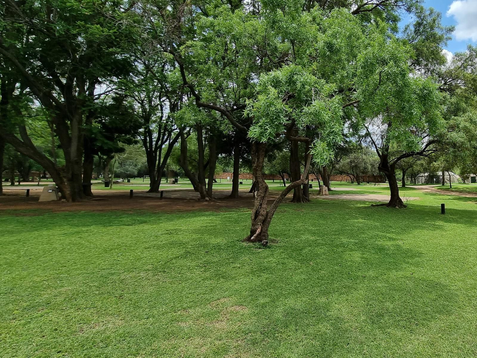 Mabalingwe Caravan Park, Plant, Nature, Tree, Wood, Garden