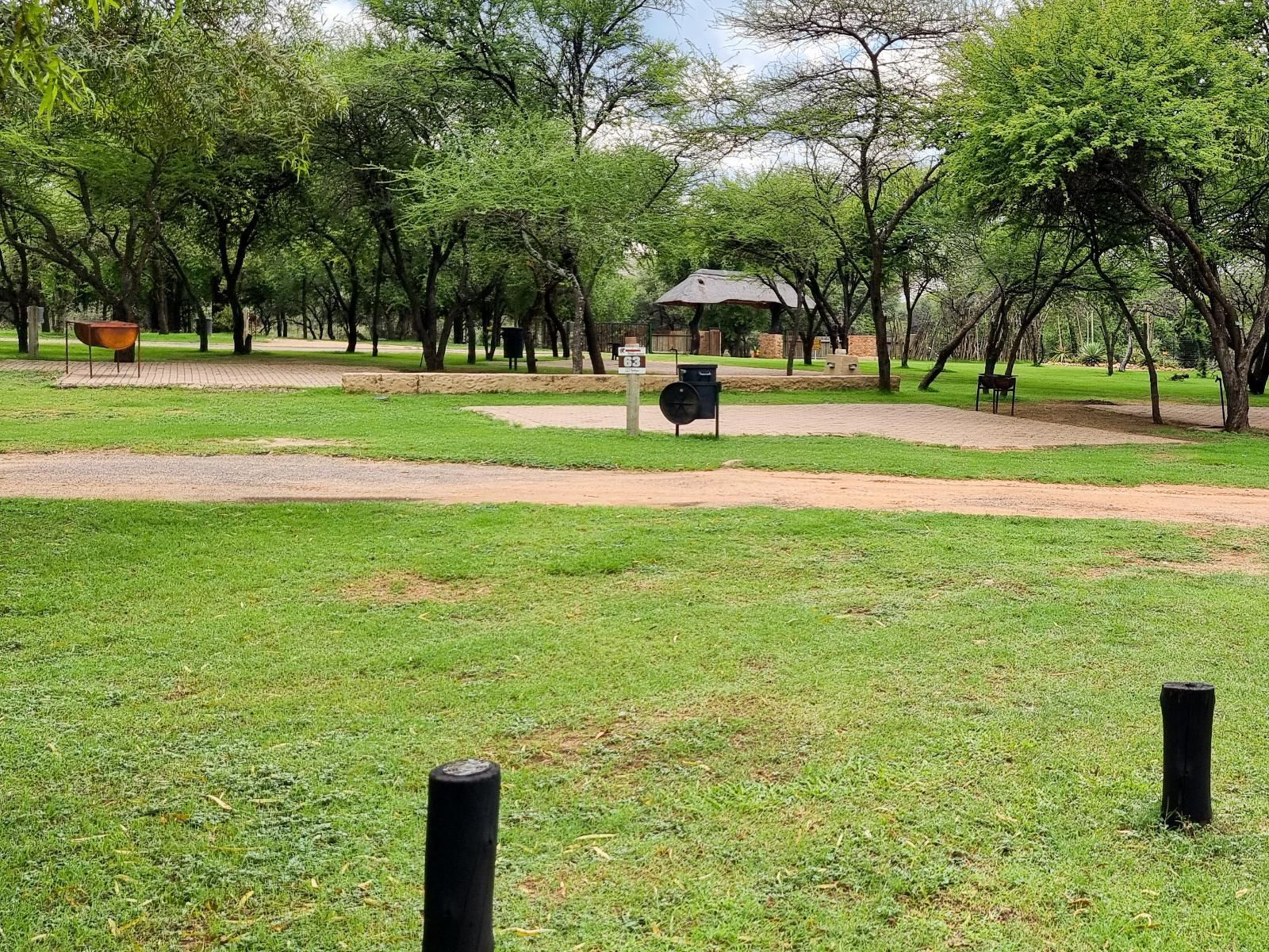 Mabalingwe Caravan Park, Elephant, Mammal, Animal, Herbivore